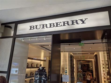 burberry tampa